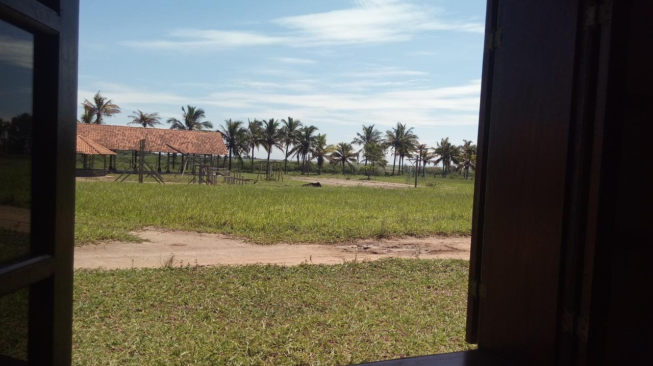 Bed and Breakfast Fazenda Sao Felipe Sao Francisco de Itabapoana Exterior foto